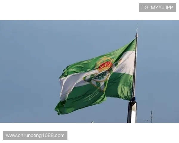 贝尼托・比利亚马林球场改造暂停护雨燕：生态保护与体育建设的平衡之道